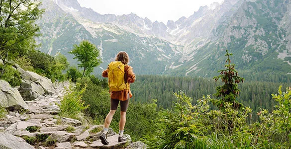 what-are-examples-of-wellness-activities-mid-content-1